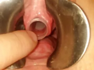 Cuba cách mạng: tất  ...