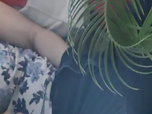 Bà gái tóc đồ chơi t ...