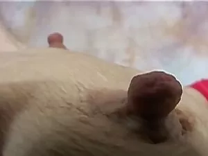 Chúng tôi có một cái ...