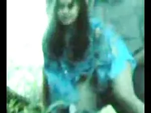 Xin Chào, Carol nhật ...