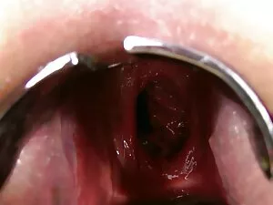 Mainara Agnos là về  ...